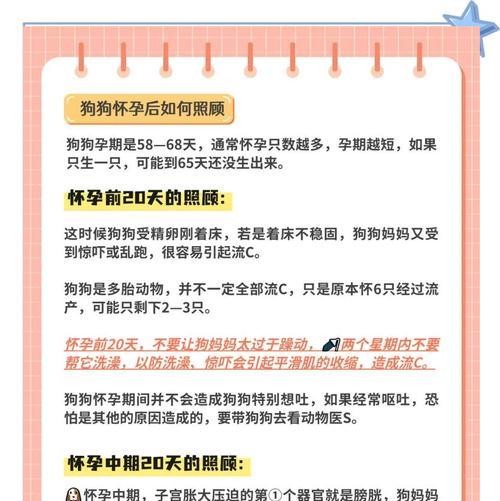狗狗怀孕的时间有多久？（揭秘狗狗的怀孕周期及相关知识） - 新生家伴