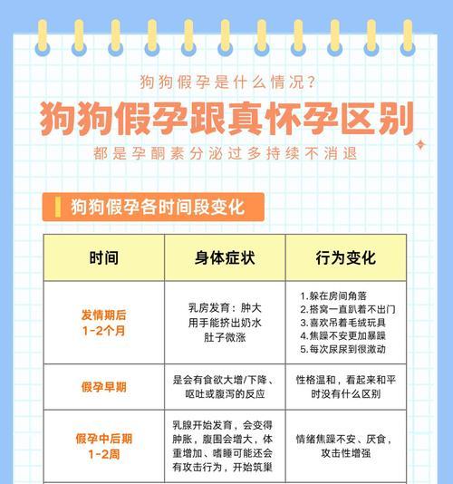 狗狗怀孕的时间有多久？（揭秘狗狗的怀孕周期及相关知识）(图3)