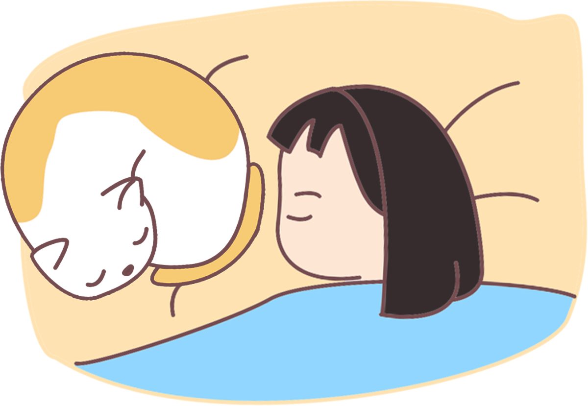 猫咪爱主人的5个等级，你家主子是哪一级？(图4)