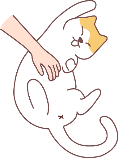 猫咪爱主人的5个等级，你家主子是哪一级？(图6)