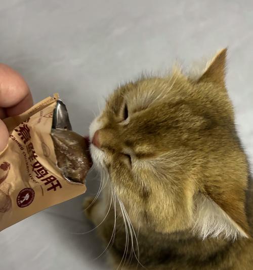 幼猫饮食需求（了解幼猫每餐所需，为它们健康成长铺路）(图3)