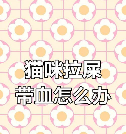 布偶猫突然拉屎拉地上的原因及应对方法（布偶猫拉屎地上的关键原因是什么，如何有效应对这一问题）(图3)