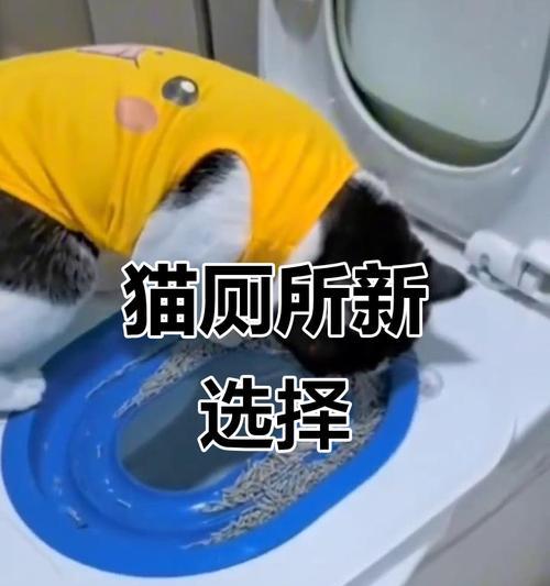 打造完美的猫的便盆——如何选择和使用猫砂盆(图1)