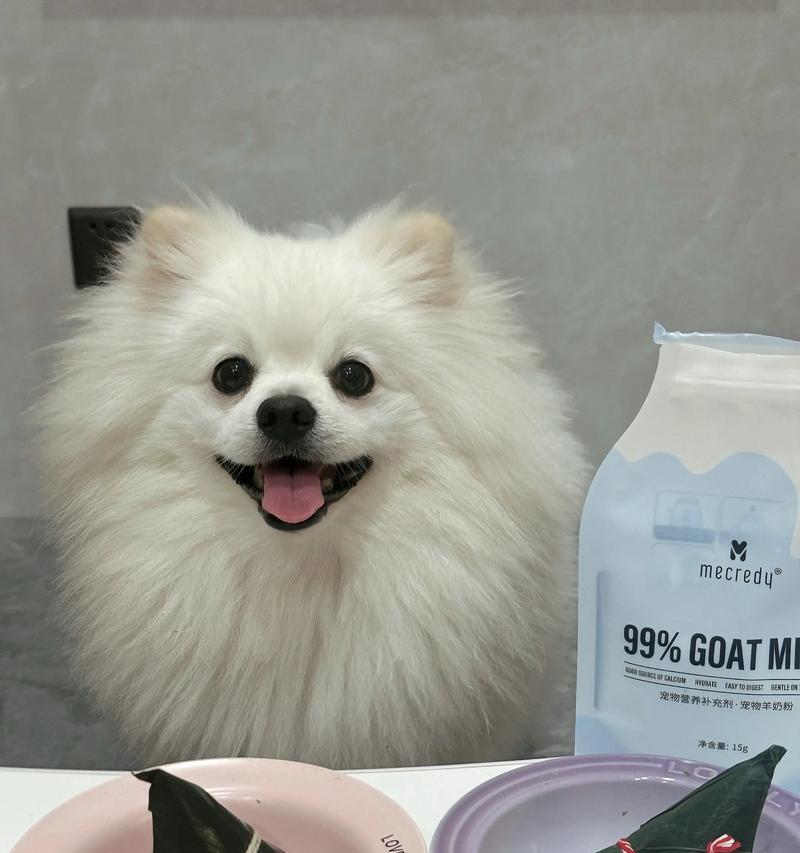 狗狗尾巴毛掉光了的原因与解决方法（探索狗狗尾巴毛掉光的成因以及有效解决方案）(图2)