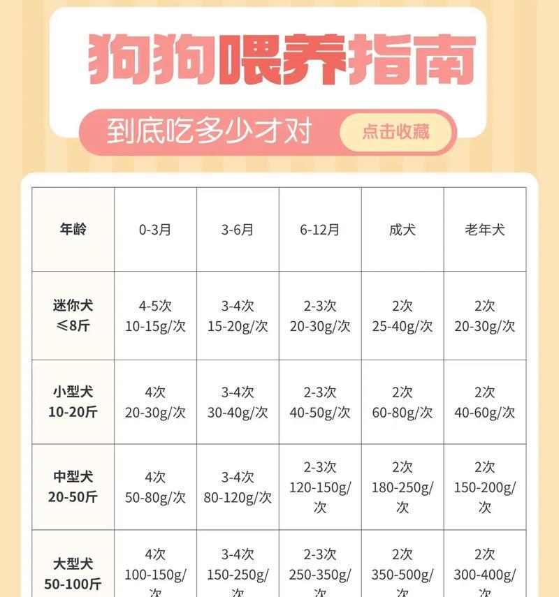 金毛的饮食指南（适合不同年龄段金毛的进食方式）(图1)