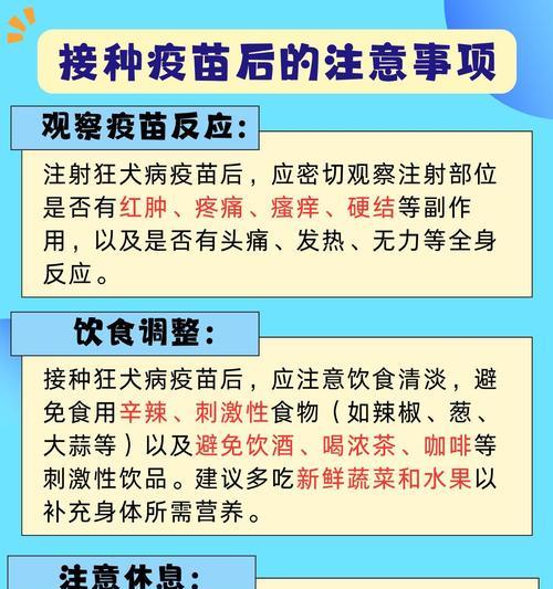 狗狗的疫苗接种（了解狗狗的疫苗接种计划，让它健康快乐成长）(图2)