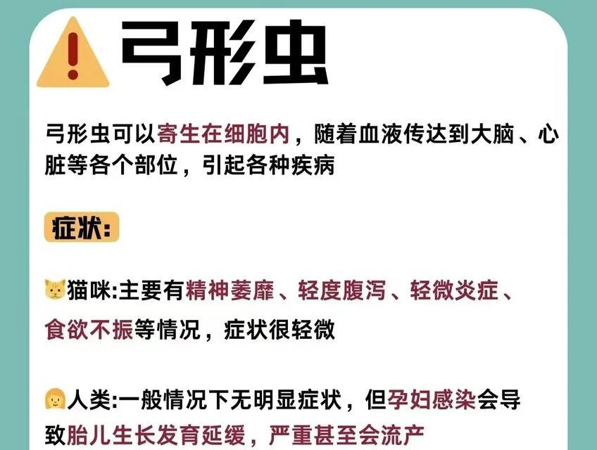 猫与人之间的疾病传播（揭秘以猫能传染人的常见疾病，保护你和你的宠物的健康）(图1)