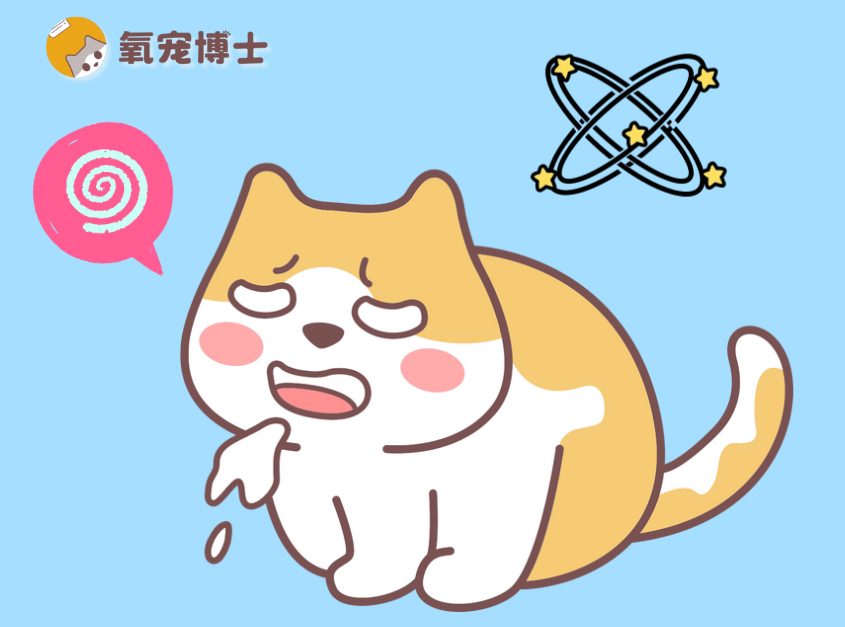 猫咪想吐又吐不出来是怎么回事？(图1)