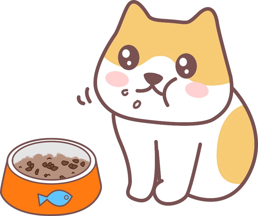 猫咪吃猫粮不嚼直接吞，这正常吗？ - 新生家伴