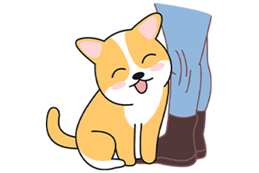 宠物行为解读：狗狗咬裤腿是什么意思？(图4)