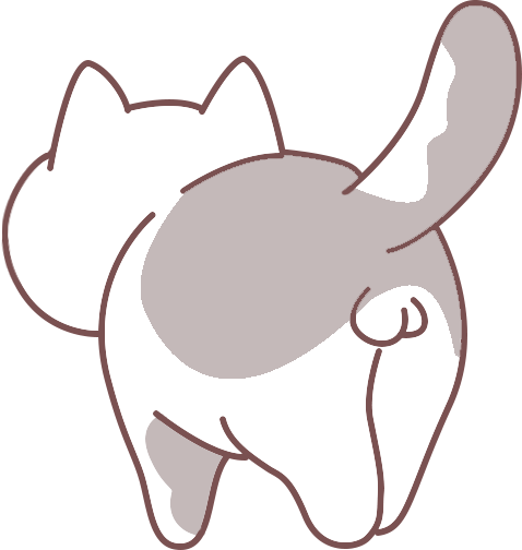 你家猫是不是“养不熟”？这几个特点一眼就能看出来(图2)