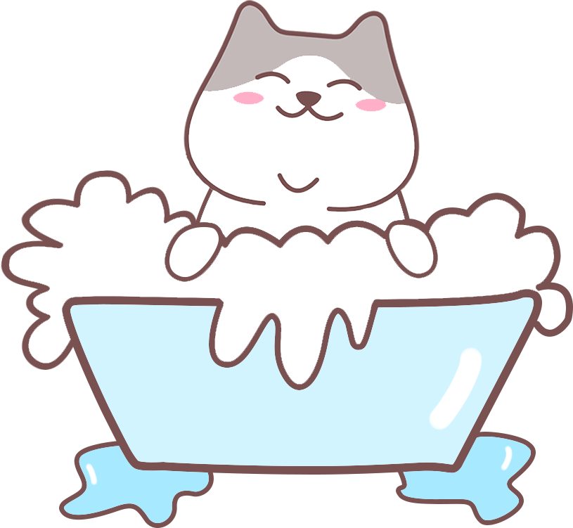 如何养出社牛小猫？抓住这个黄金期很关键(图5)