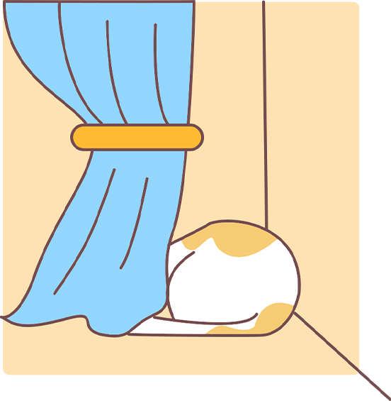 如何养出社牛小猫？抓住这个黄金期很关键(图2)