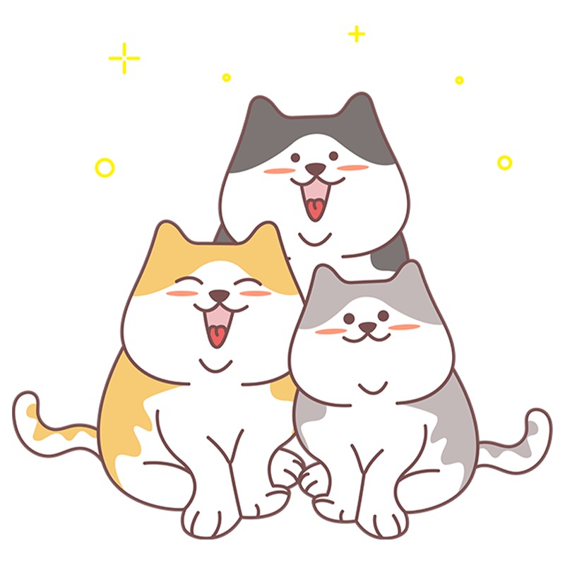 如何养出社牛小猫？抓住这个黄金期很关键(图3)