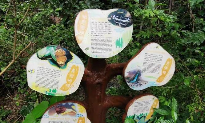 四眼蝶的饲养方法（打造健康快乐的宠物生活）(图1)