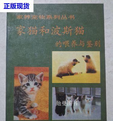 波斯猫的饲养技巧（如何照顾你的波斯猫）(图2)