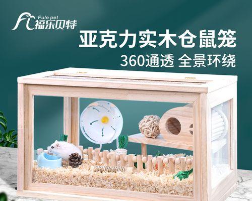 长尾仓鼠的饲养方法（如何给长尾仓鼠提供一个健康幸福的家园）(图2)