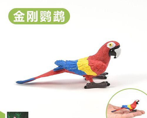 紫蓝金刚鹦鹉的饲养方法（让宠物紫蓝金刚鹦鹉健康快乐）(图3)