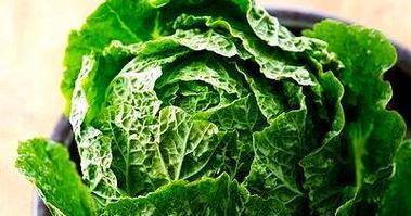 高丽兔的饲养方法（打造健康的高丽兔家族）(图3)