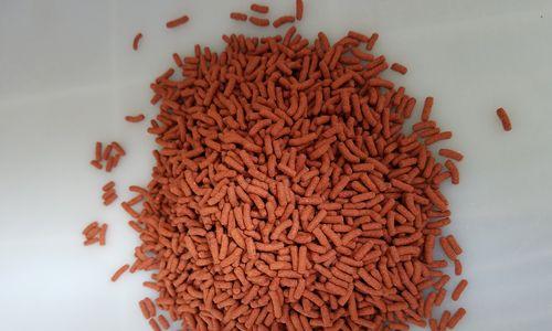 德州地鼠龟的饲养方法（了解这些知识，让你的德州地鼠龟健康快乐成长）(图1)