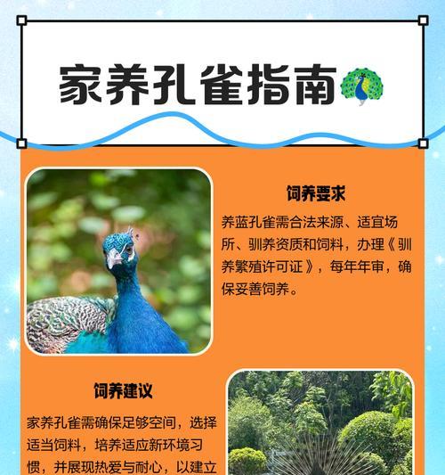 北朱雀的饲养方法（如何养好一只北朱雀）(图2)