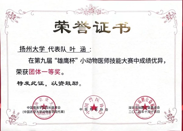 赛学双优‼️这个团队全员保研(图31)