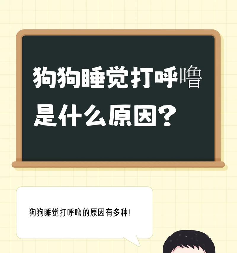狗狗的睡眠习惯与周期（探寻狗狗睡眠的奥秘）(图3)