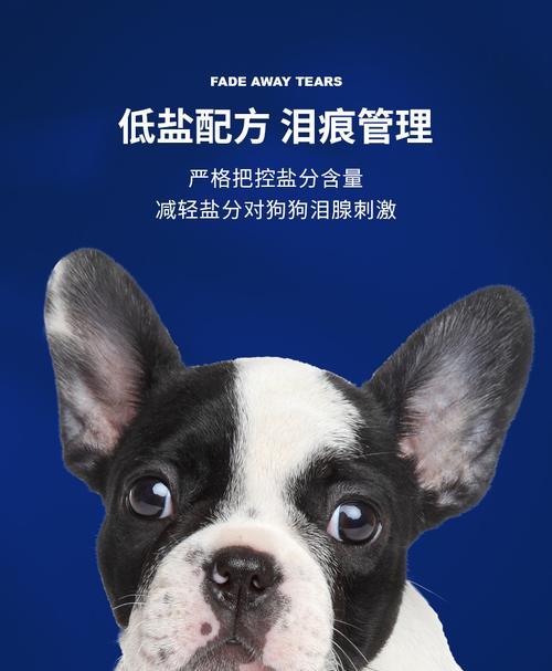 斗牛掉毛严重的几大常见原因（了解斗牛掉毛的原因，让你的宠物更健康）(图2)