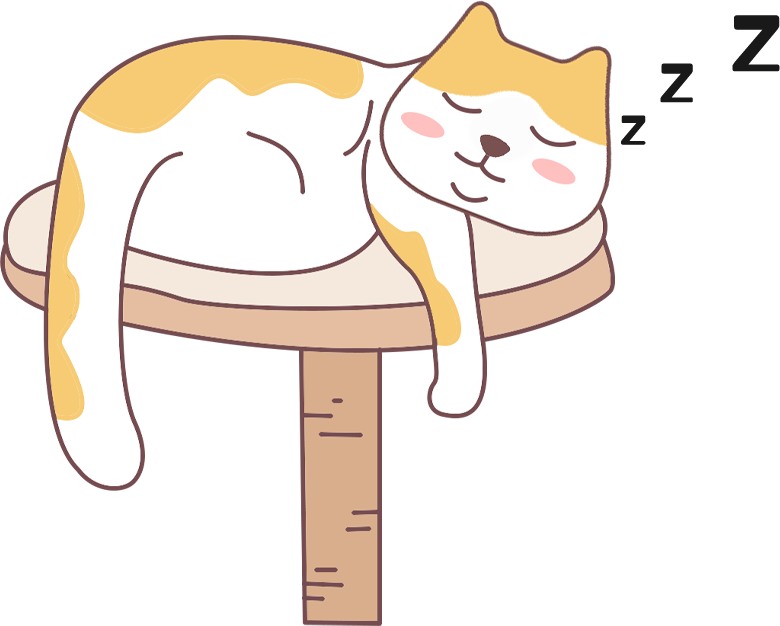 猫咪知道是你在养它、照顾它吗？(图4)