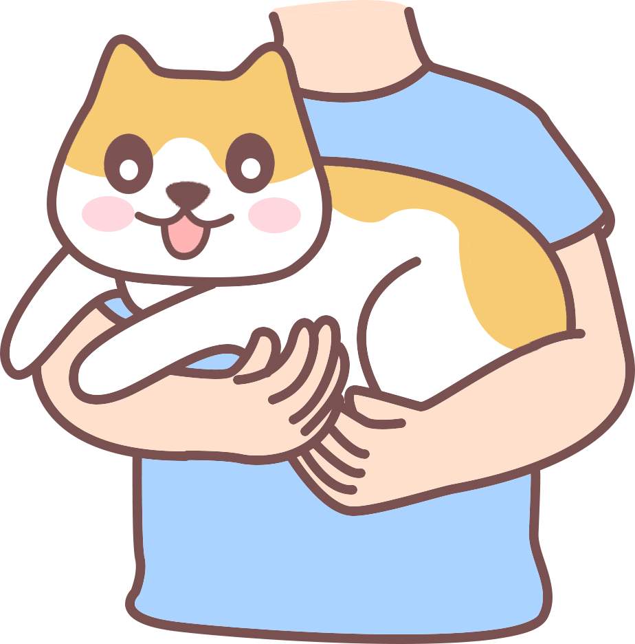 猫咪知道是你在养它、照顾它吗？ - 新生家伴