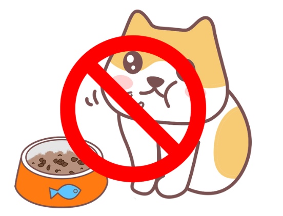 猫咪肝功能不好吃什么？附禁食清单(图5)