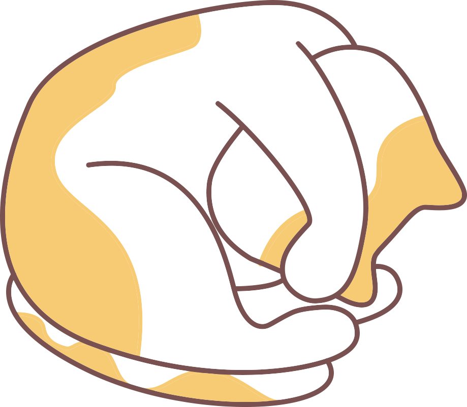 猫咪老年痴呆了，还能活多长久？(图3)