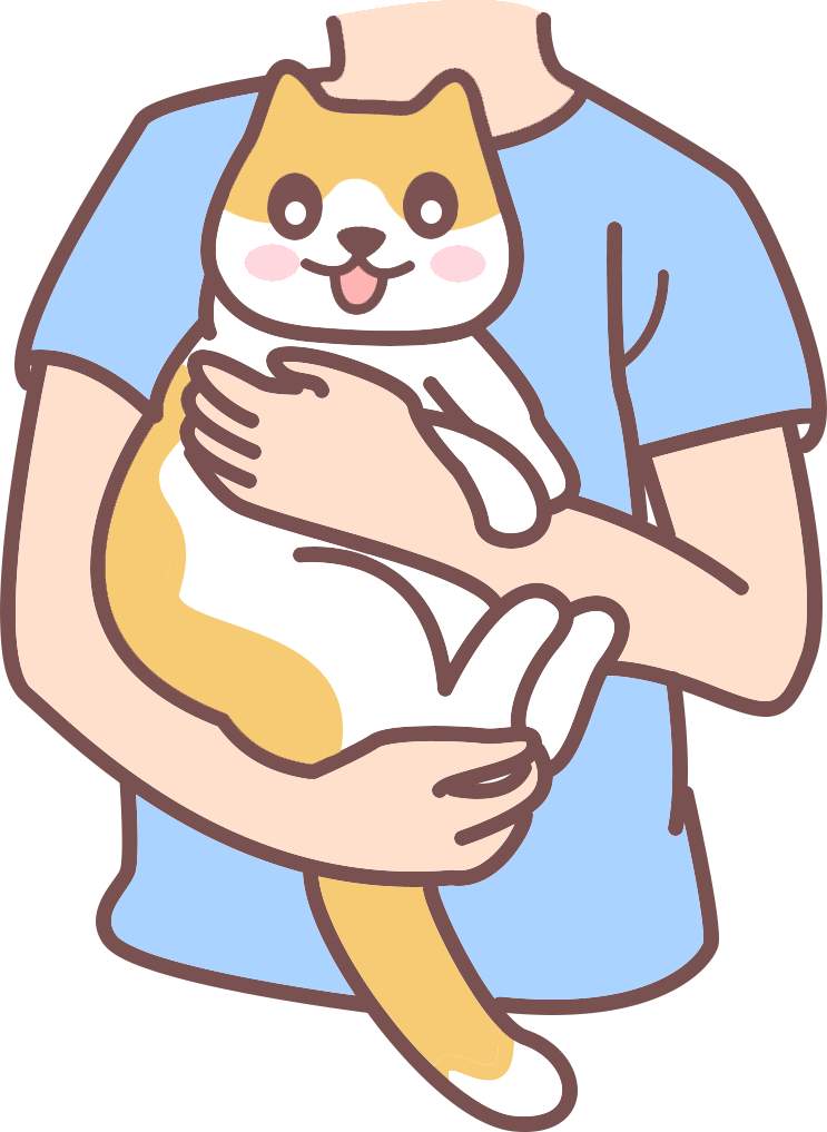 猫咪老年痴呆了，还能活多长久？(图5)