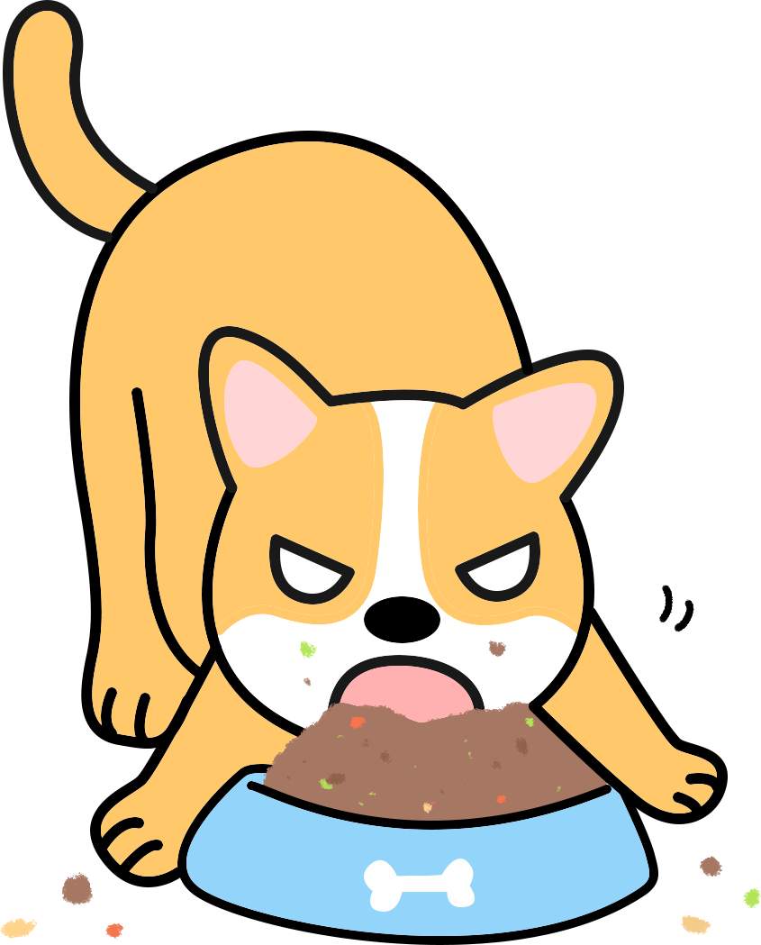 幼犬犬瘟热转阴后怎么预防抽搐？(图5)