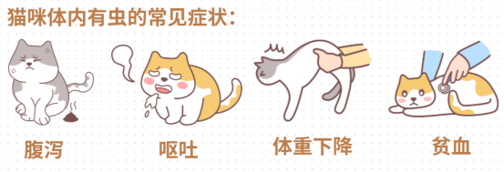 猫咪光吃不胖是不是有虫？(图2)
