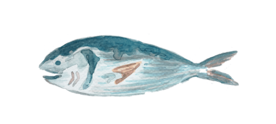 猫咪肝功能不好吃什么？附禁食清单(图3)