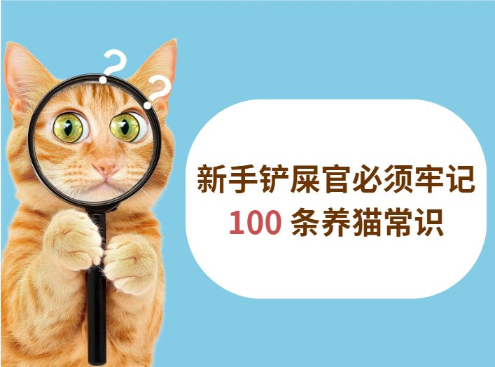 新手养猫必须牢记的100条常识