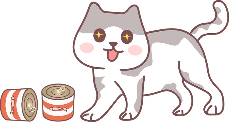 新手养猫必须牢记的100条常识(图3)