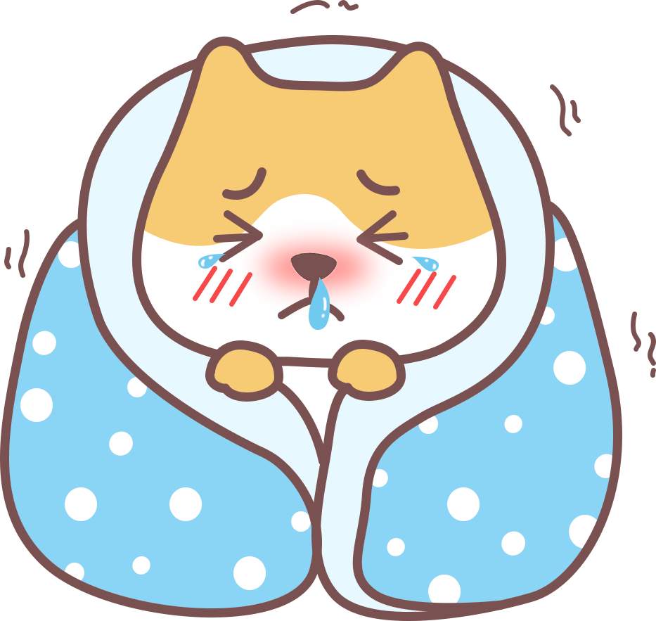 怎么避免猫咪得“空调病”？(图4)