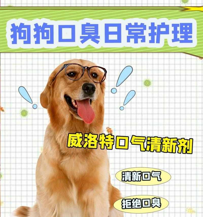 如何消除狗狗口臭（宠物口腔健康的重要性）(图2)