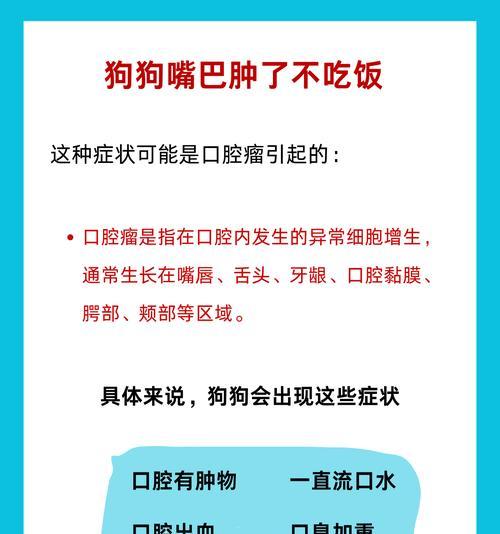 如何消除狗狗口臭（宠物口腔健康的重要性）(图3)