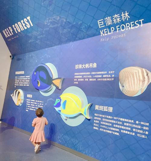 珍珠帆吊的饲养方法（打造健康活泼的珍珠帆吊宠物）(图1)