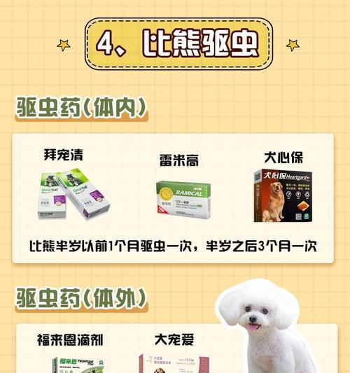 用个性化养成法养狗，让你的宠物更亲近你（通过培养个性养成法，让狗狗和你的关系更紧密）(图1)