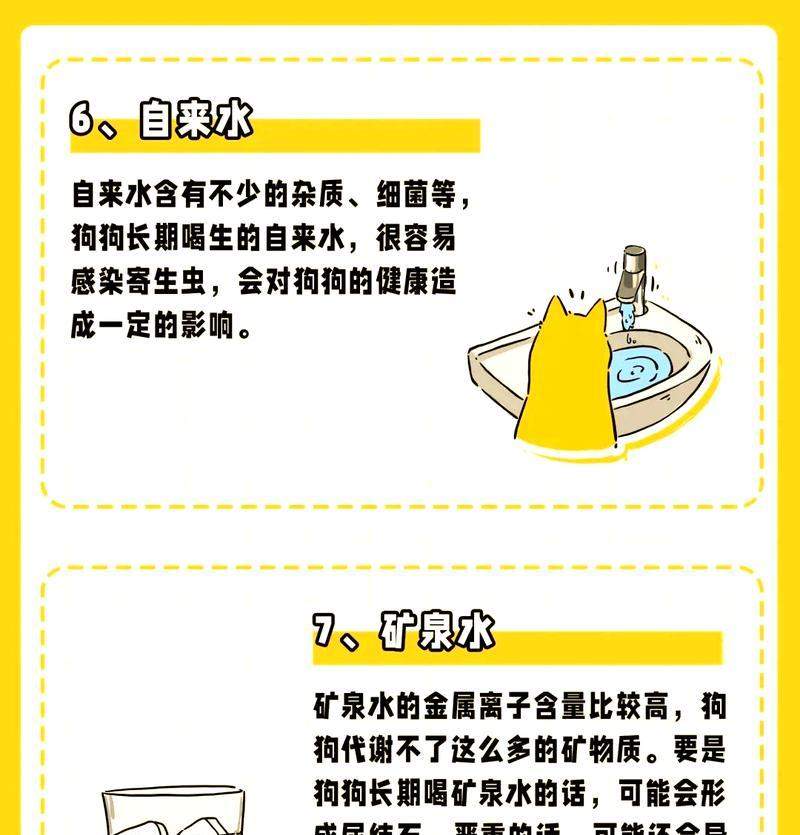 狗狗喝水的重要性及饮水量需求（探索狗狗为什么需要大量饮水和每日饮水量的建议）(图2)