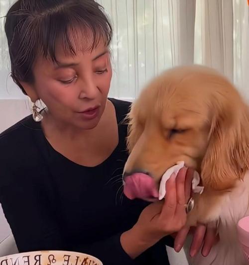 养狗应避免过度溺爱（以宠物为主，注意狗狗教育）(图3)