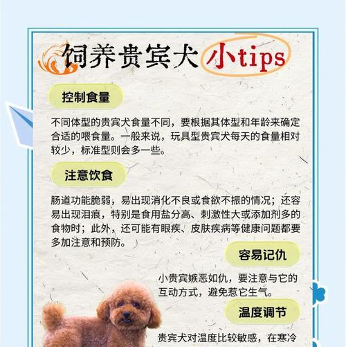 如何科学喂养你的贵宾犬（贵宾犬营养与健康、专业养犬知识解析）(图1)