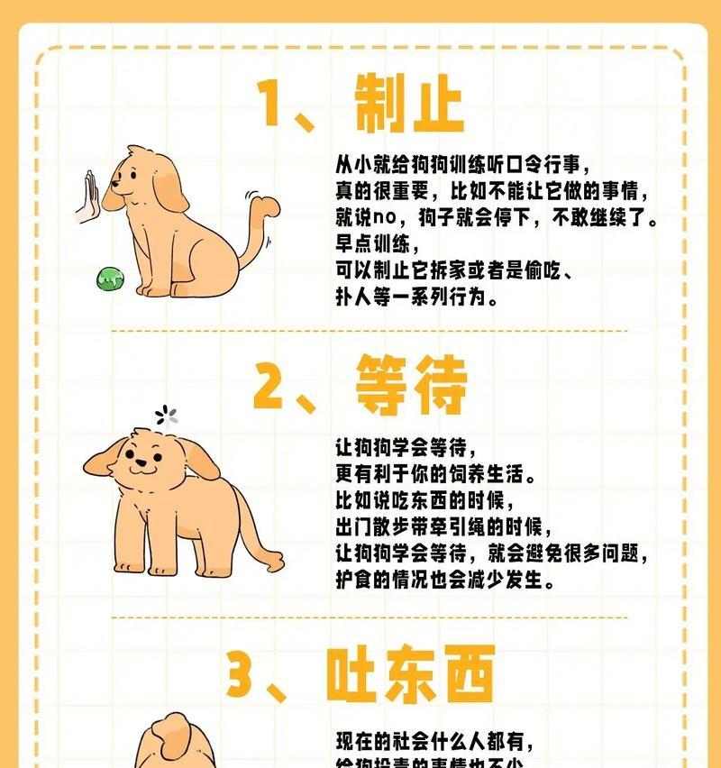 如何训练狗狗拒食他人食物（以宠物为主的实用技巧）(图3)