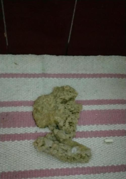 家猫连续两天呕吐急需救治！（猫咪生病了，如何正确护理？）(图3)