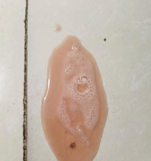 家猫连续两天呕吐急需救治！（猫咪生病了，如何正确护理？）(图1)