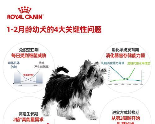 博美幼犬奶糕未泡开原因及解决方法（为什么博美幼犬奶糕没泡开？如何避免和解决？）(图3)